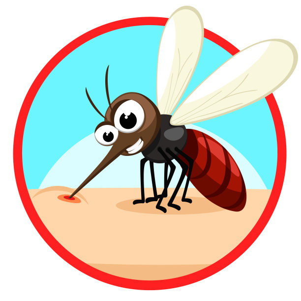 mosquito