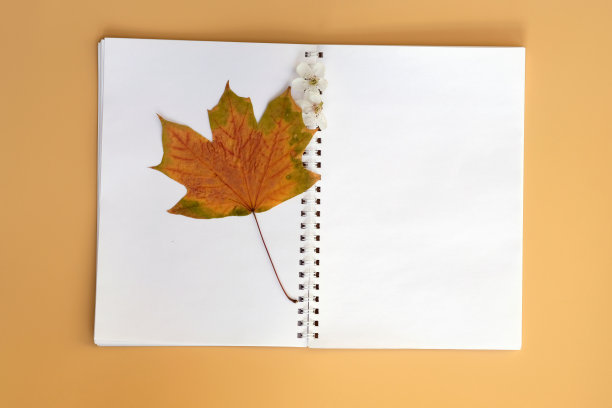 scrapbook