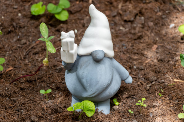 gnome