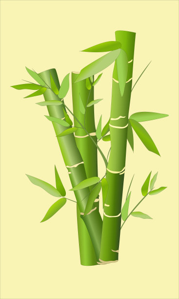 嫩绿竹枝