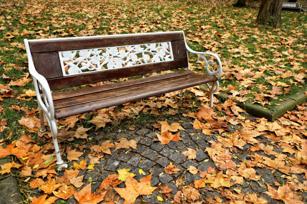 长凳上的落叶