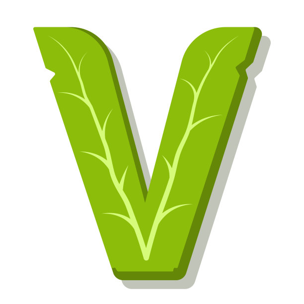 v字logo