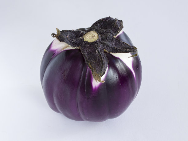 圆紫茄子