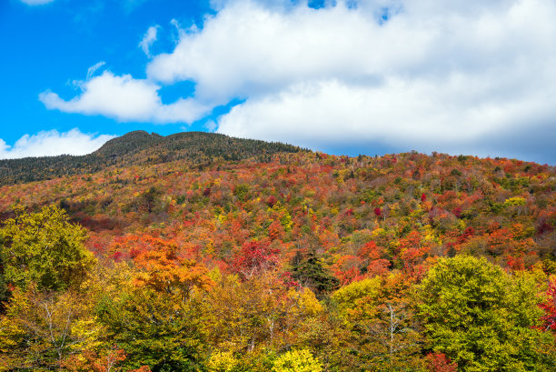 stowe
