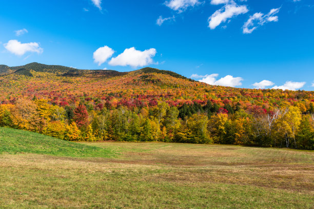 stowe