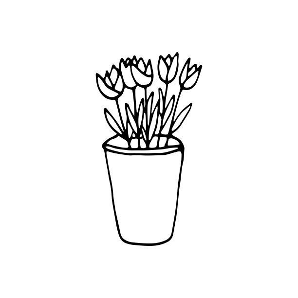 植物黑白线描画