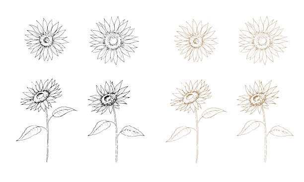 简约线条风向日葵插画