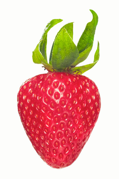 缤纷布丁草莓