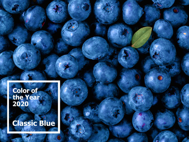 蓝莓高清
