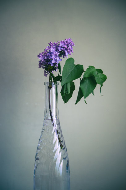 玻璃插花瓶