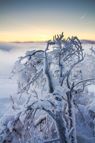 雪峰 山脉 积雪 山顶 阳光