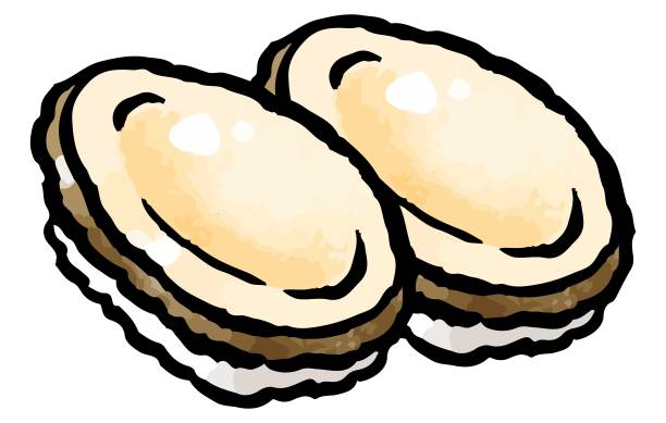 abalone