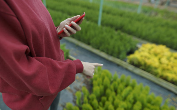 商场绿植装饰