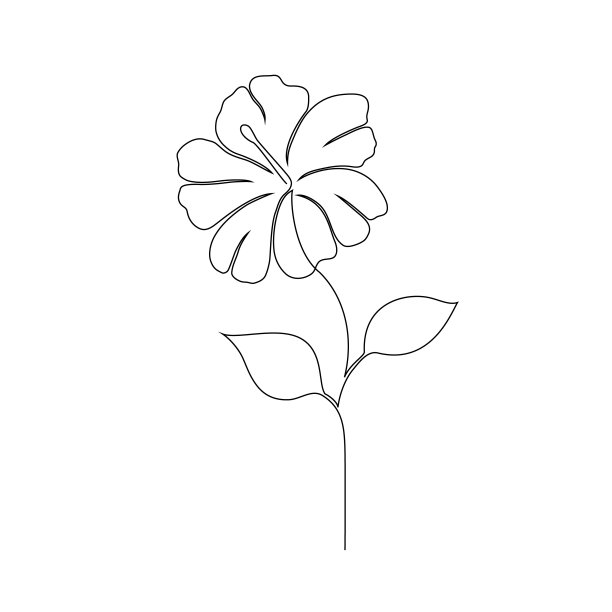 线描木槿花