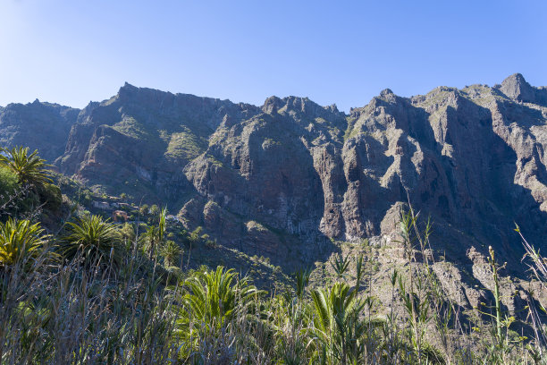 峡谷风光峭壁绿植蓝天