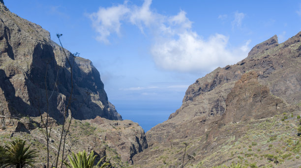 峡谷风光峭壁绿植蓝天