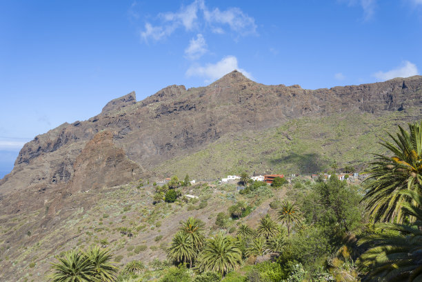 峡谷风光峭壁绿植蓝天