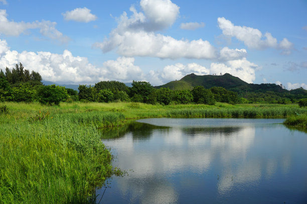 湖边生态景观
