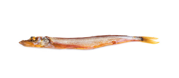 金鳟鱼