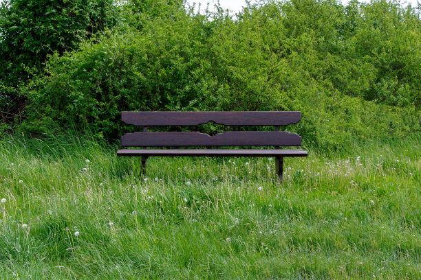 草地上的休息桌椅