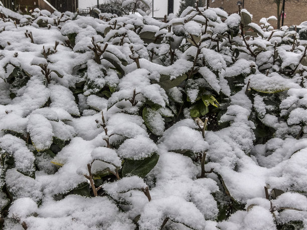 雪山素材