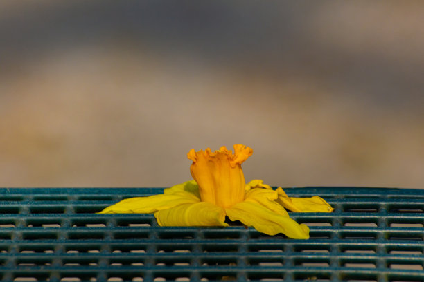 金属花格