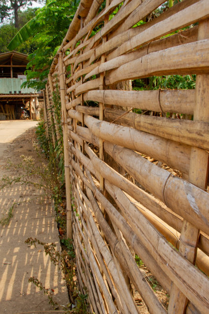 篱笆竹墙