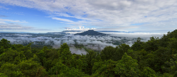 又要绿水青山