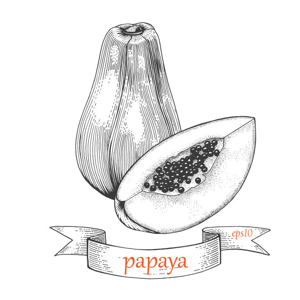 papaya