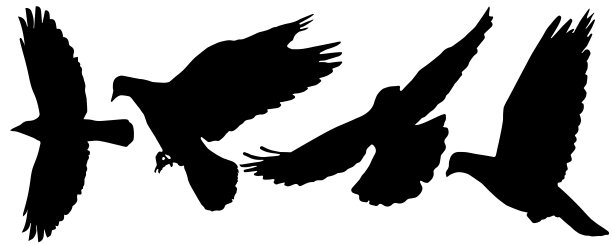 燕子logo