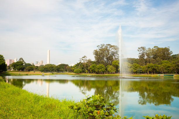 公园绿化风景