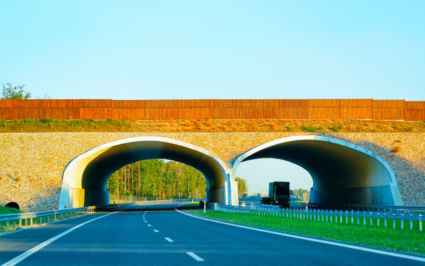 外国高速公路