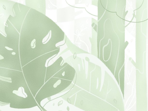 illustrations
