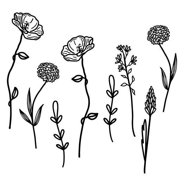单色植物花朵花纹