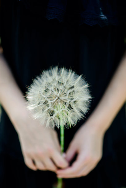 女孩手拿鲜花