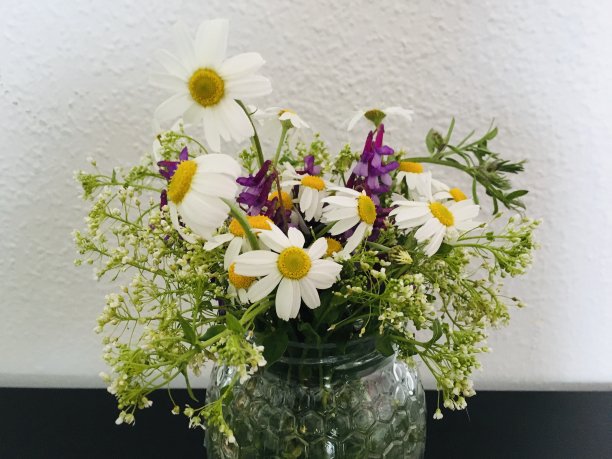 花簇,甘菊,花头