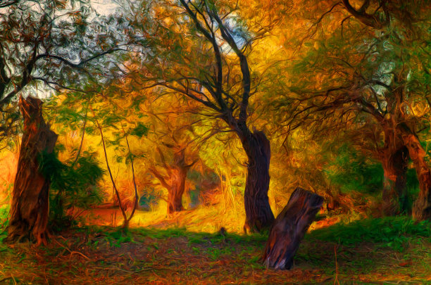 阳光树林风景画