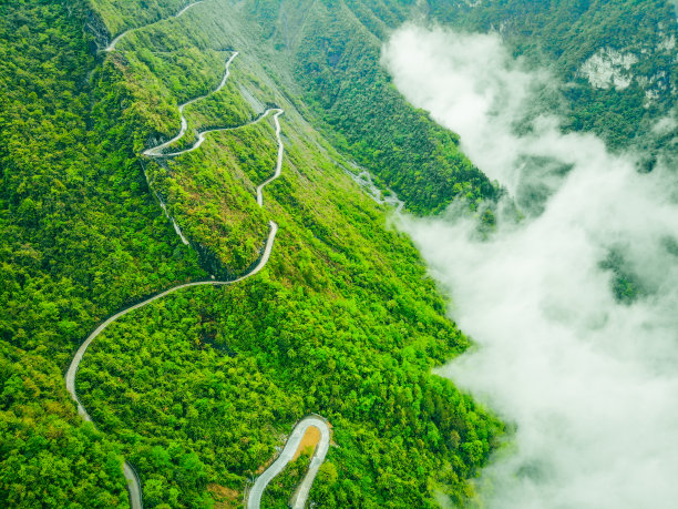 弯曲的大山公路