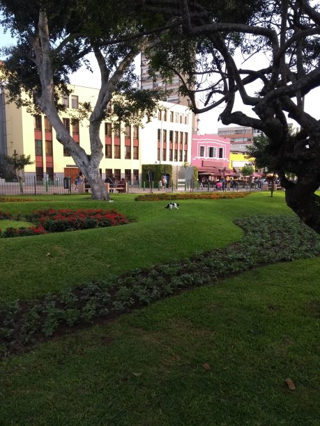 lima