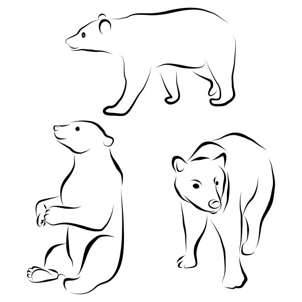 棕熊白熊