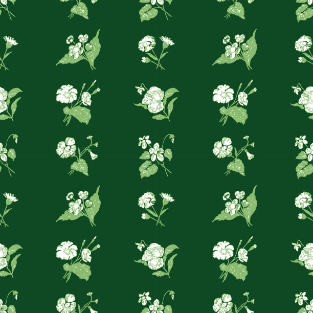 绿色背景上的雏菊花