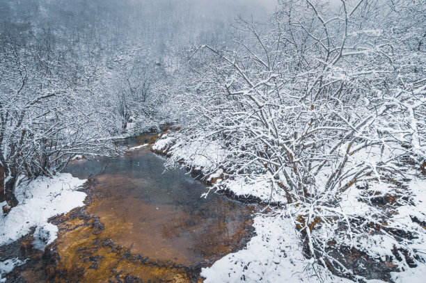 九寨沟森林溪流冬季