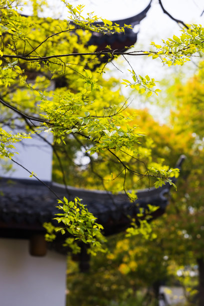 景观 壁纸 自然风景 国内旅游