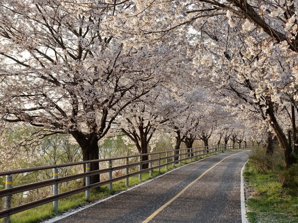 路边田园风景图