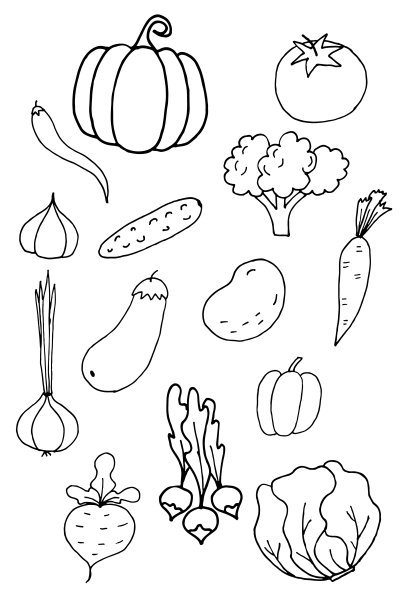 矢量土豆插画