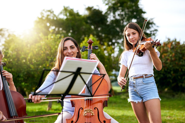 violin