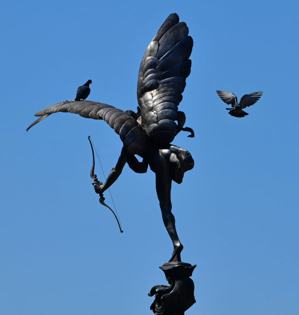 白鸽雕塑
