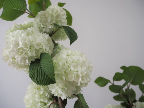 季节礼品