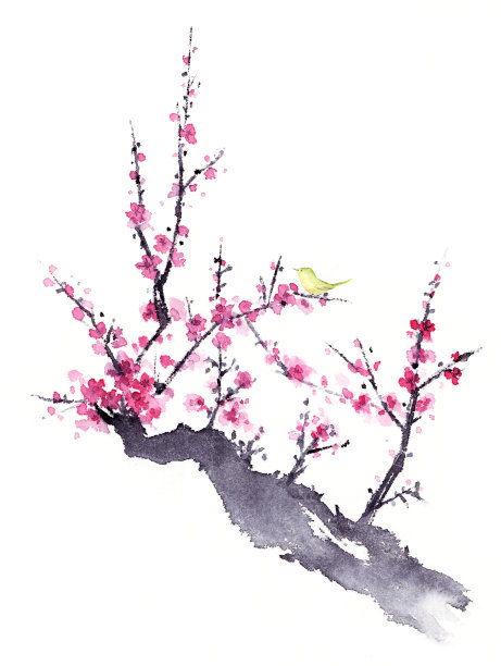 小鸟梅花中国画