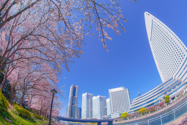 日本横滨